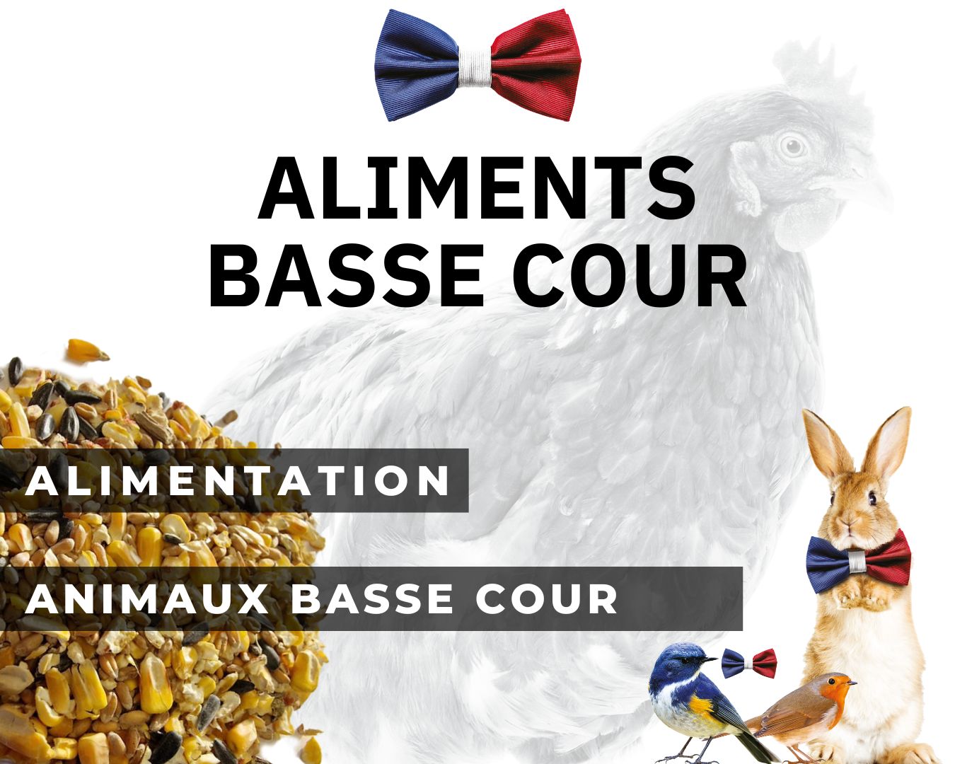 Aliments Basse Cour