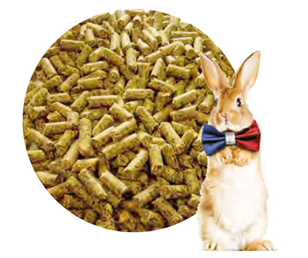 KROCPIC ALIMENT LAPIN